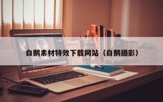 仁寿白鹅素材特效下载网站（白鹅摄影）